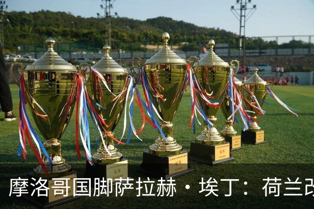 摩洛哥国脚萨拉赫·埃丁：荷兰改踢五后卫，这确实是谁也没想到的！